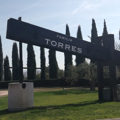 Bodegas Torres 2(1)